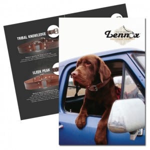 product brochure design product brochure design